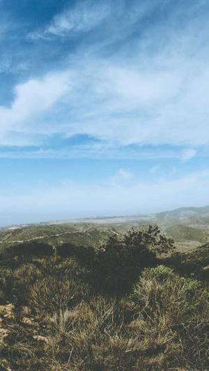 网站如何seo截图1