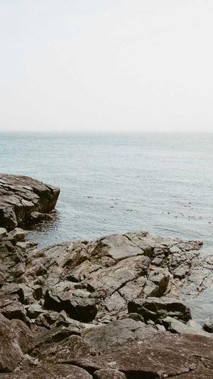 咸宁网站建设截图1