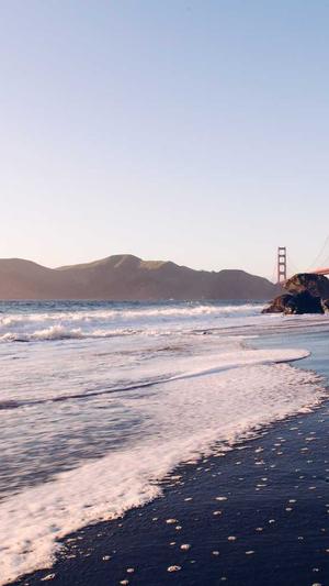 高端大气网站建设截图1