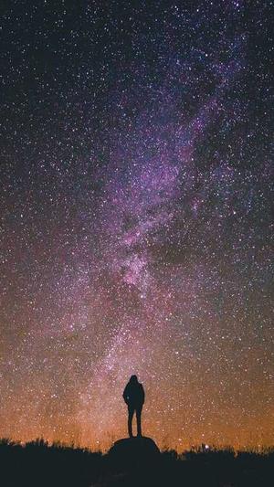 SEO蜘蛛池怎么做截图4