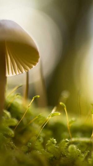 seo优化工具是什么截图1