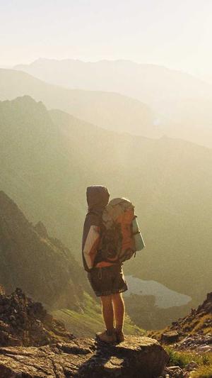 蜘蛛池真的能收录网站吗截图4