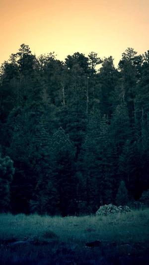 蜘蛛池购买推广截图4