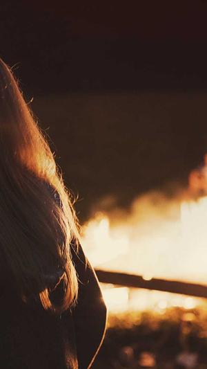 泛目录工具截图1