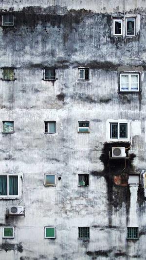 云南蜘蛛池租用服务截图4