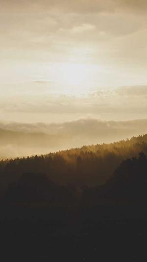 seo公司推荐蜘蛛池截图4