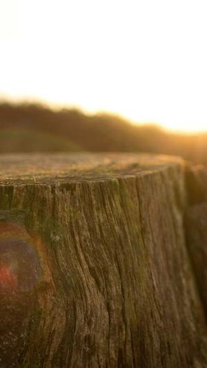 武汉专业网站建设截图2