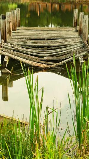 蜘蛛池app运营截图2