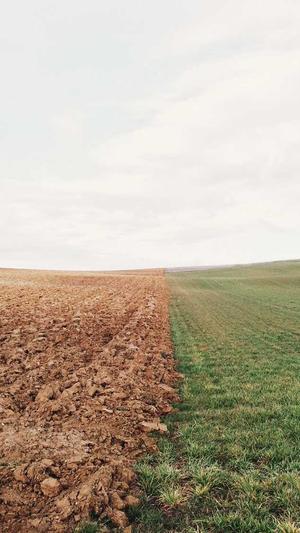 小旋风蜘蛛池多少钱截图4