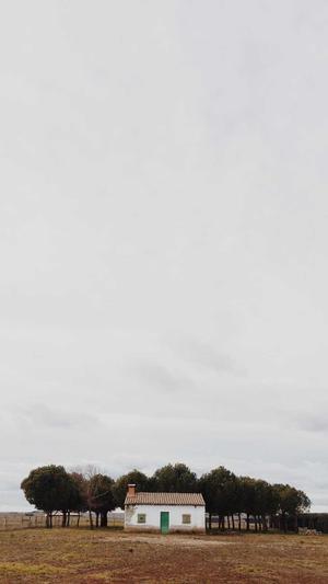 泛目录站群后台文件截图2