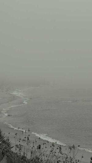 黑侠蜘蛛池吾爱截图4