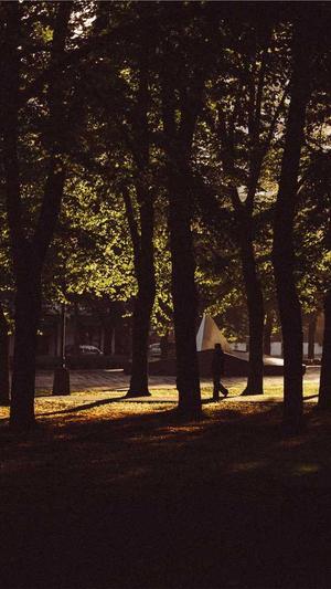 抚顺seo优化截图4