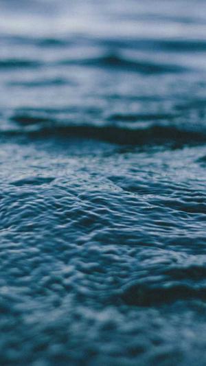 天道蜘蛛池4.2源码截图4