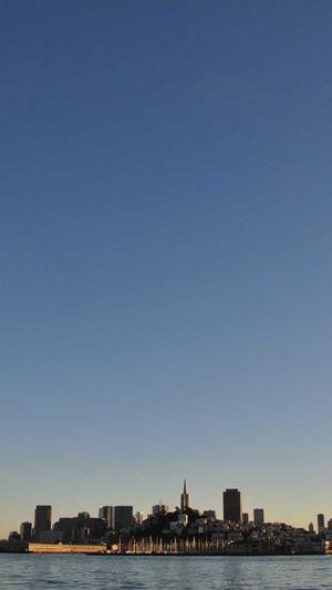 枫叶站群蜘蛛池截图2