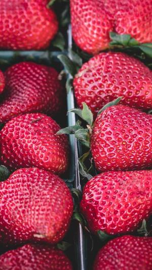 搜索seo热门工具大全截图1