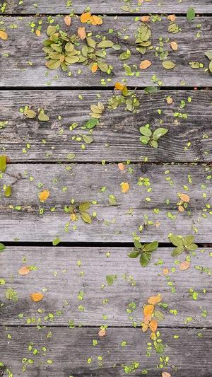 福州seo关键词排名工具截图2