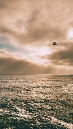 网站seo外链工具截图2