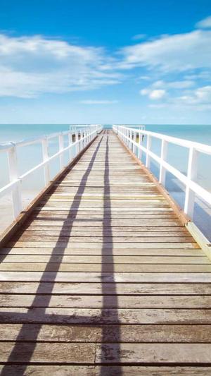 黑帽seo常用工具包截图1