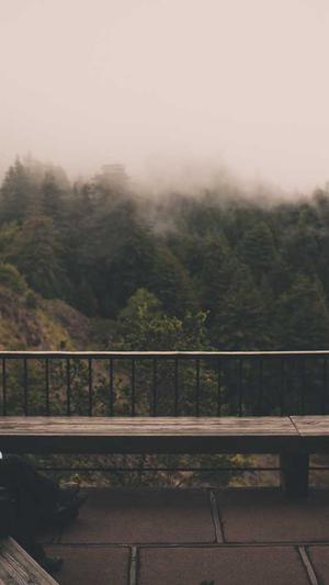 野外建造蜘蛛池截图4