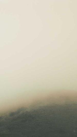 泛目录怎么做霸屏seo截图3