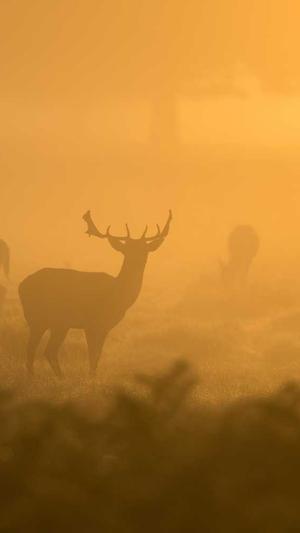 泛目录排版截图3