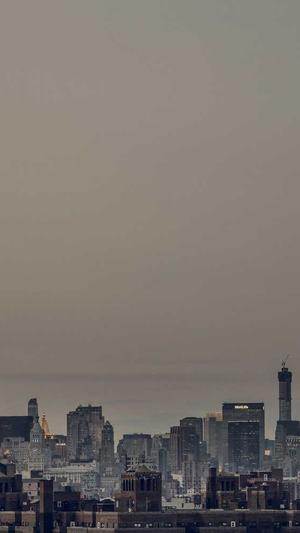 蜘蛛池试用截图5