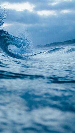 黑帽蜘蛛池怎么搭建截图3