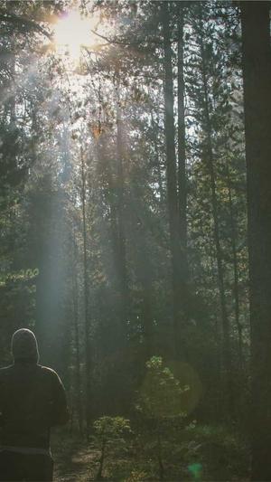 高端大气网站建设截图2