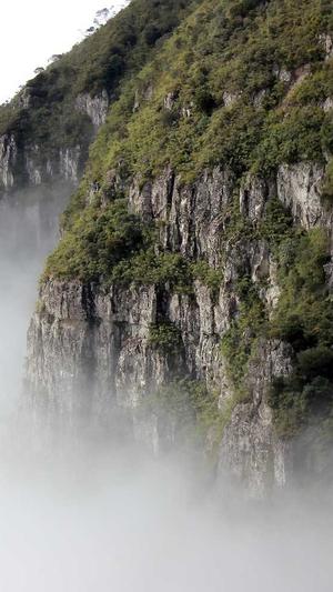 西安seo优化软件工具截图1